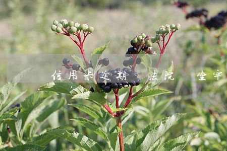 信用卡逾期 法院 坐牢 信用卡逾期 法院 坐牢
